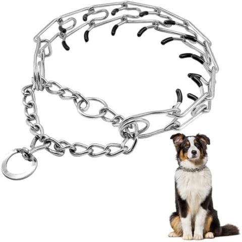 Training Prong Collar