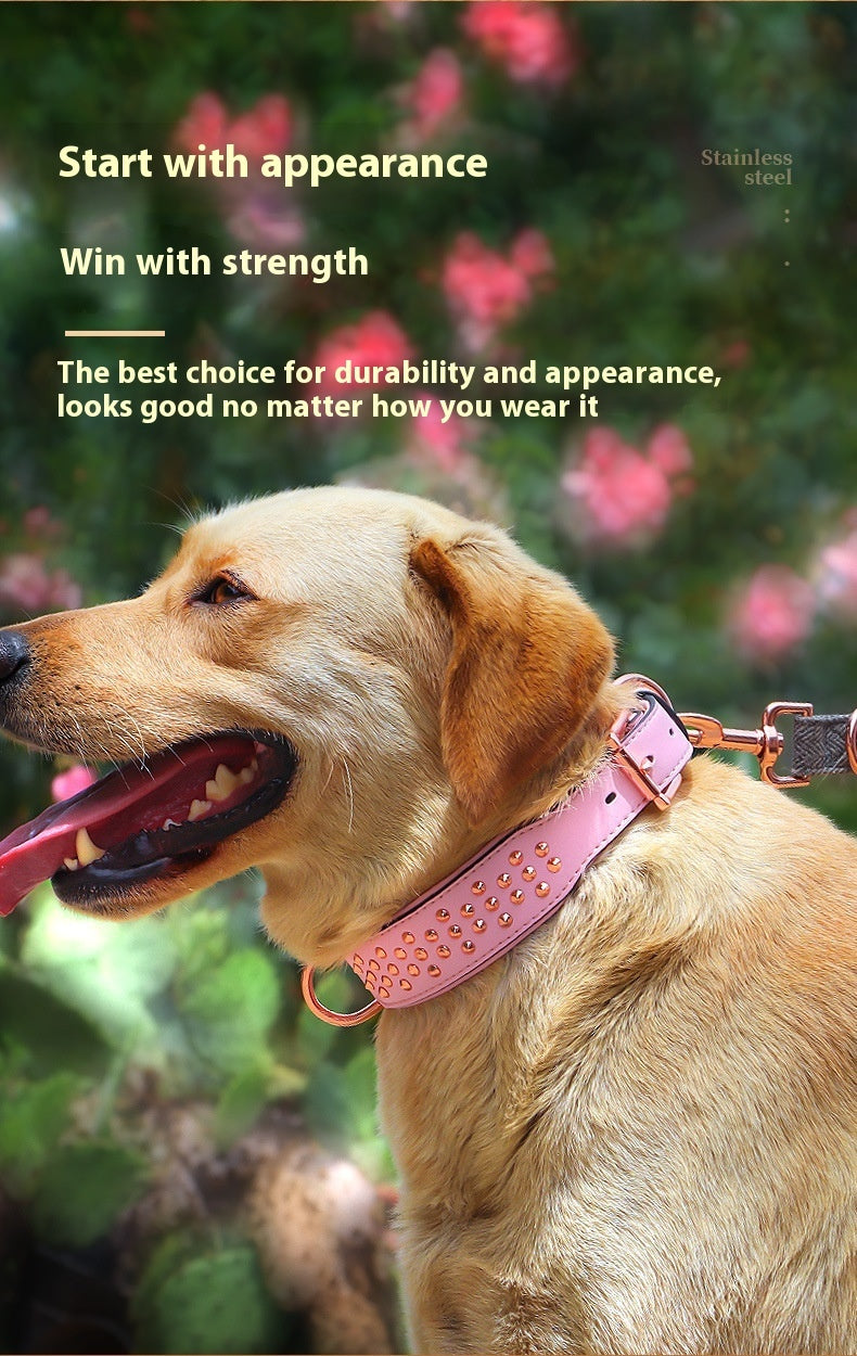 Dog Rivet Collar Anti-bite