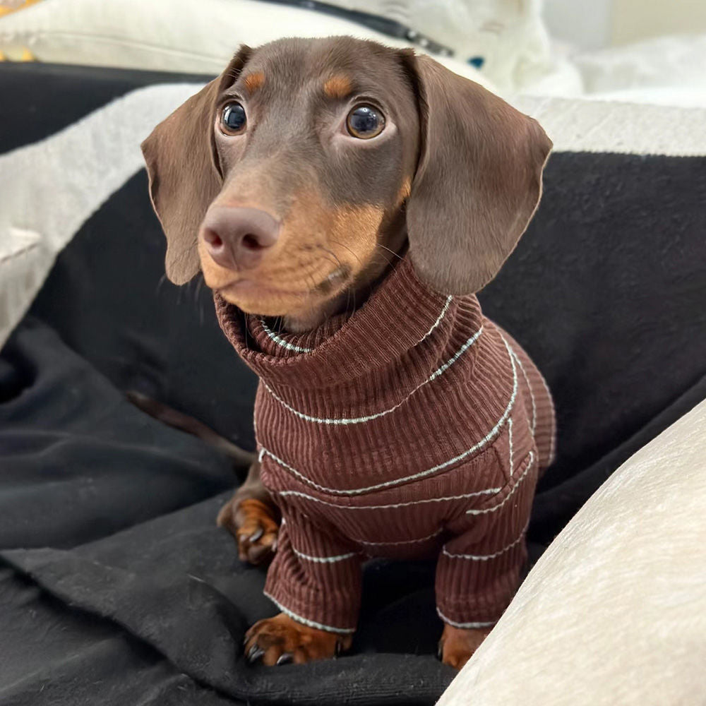 Sausage dog sweaters