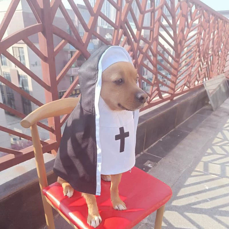 Nun Dog Costume For Small Medium Dogs Halloween Cosplay Outfit Black White Cloak Dress