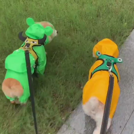 Dog Raincoat Transparent Brim