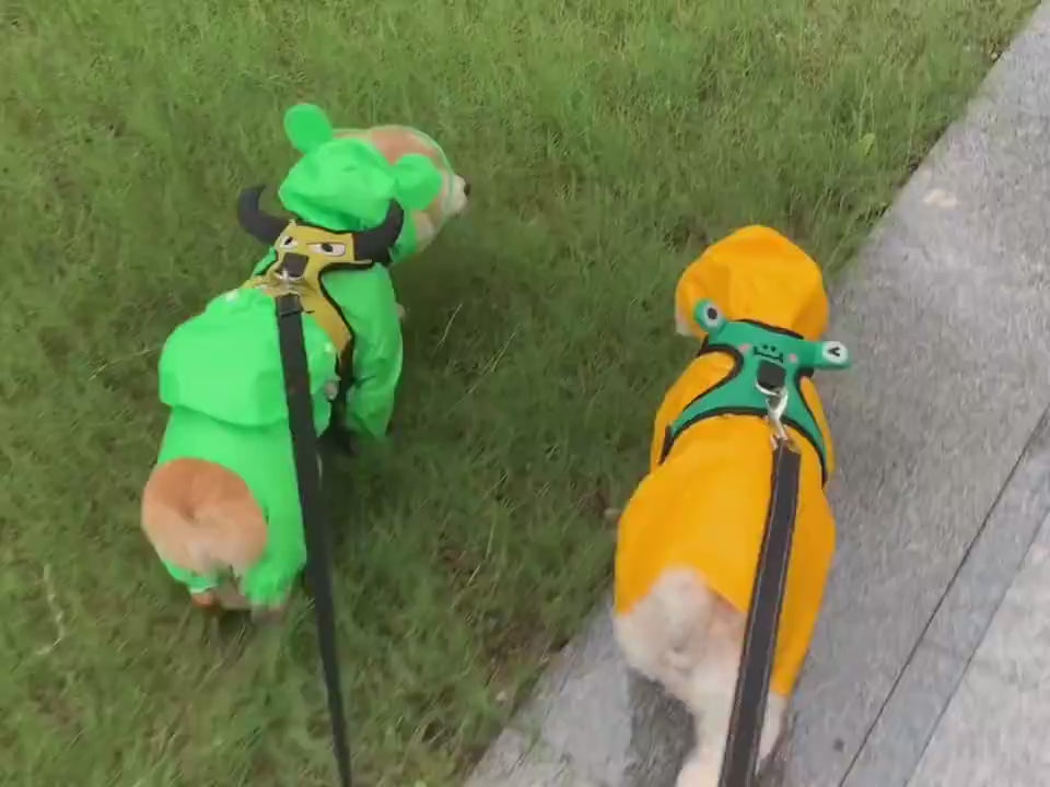 Dog Raincoat Transparent Brim