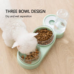 Pet Bowl Double Bowls Food Water Feeder With Auto Water Dispenser